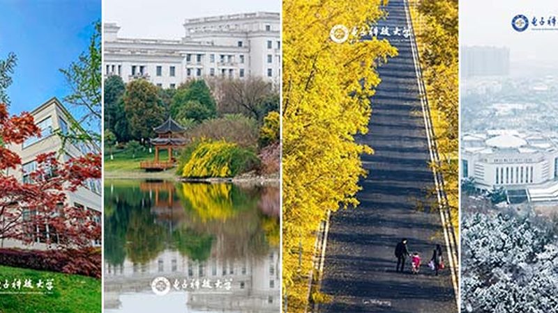 电阻采购：揭秘关键参数与选购要点