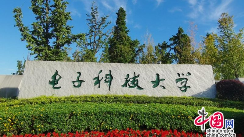 发光二极管正负极判断：口诀背后的科学**